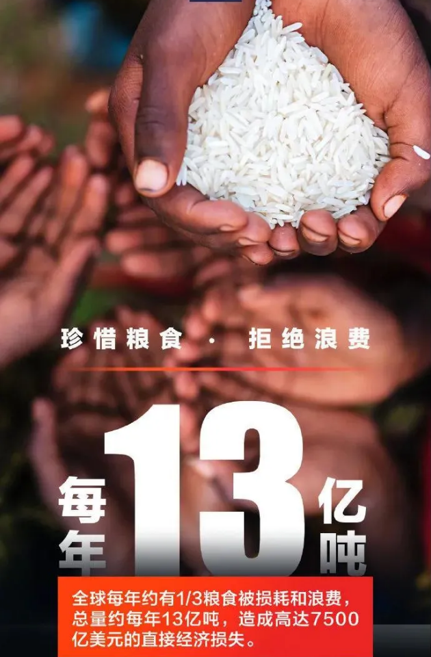 开展光盘行动，拒绝浪费粮食