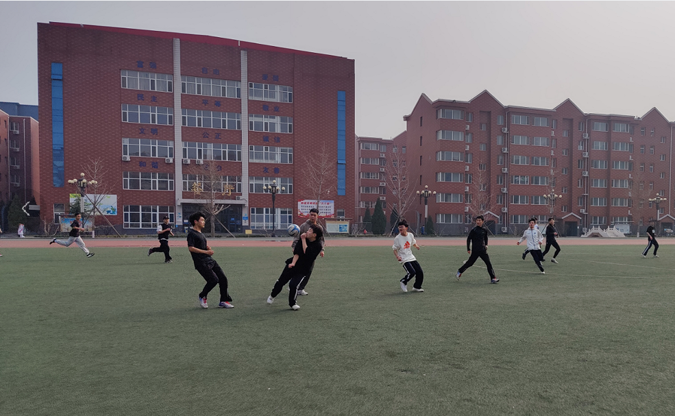 青春筑梦向未来，多彩实践创精彩